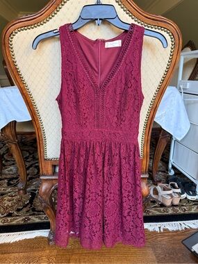 Altar'd State Burgundy Lace V-Neck Fit & Flare Mini Dress